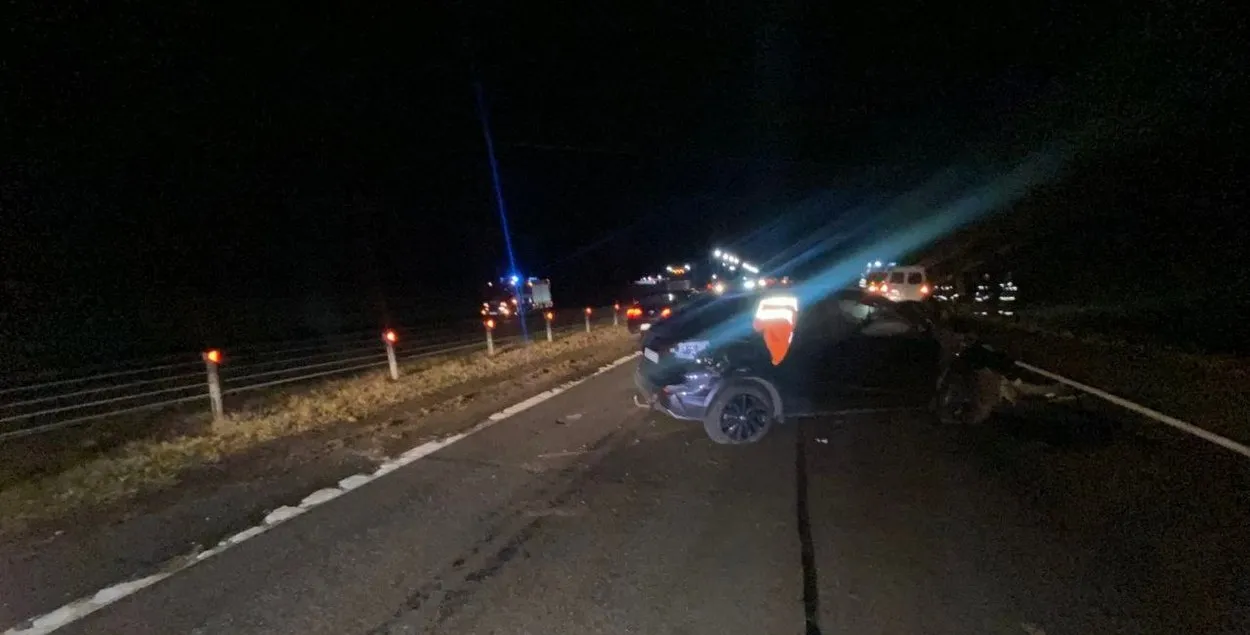 Маці ледзь не загубіла дачку
