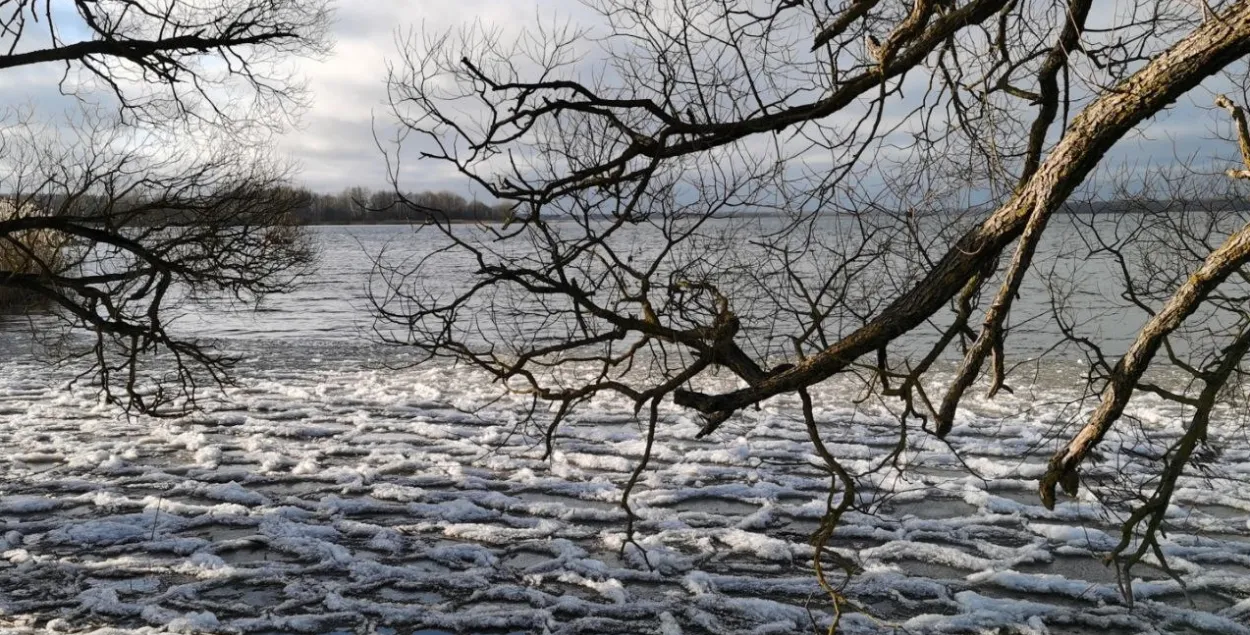 В декабре в Беларуси
