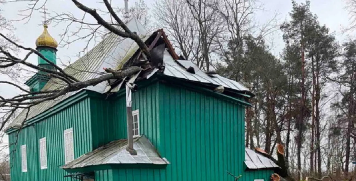 Дрэва зламаў моцны вецер
