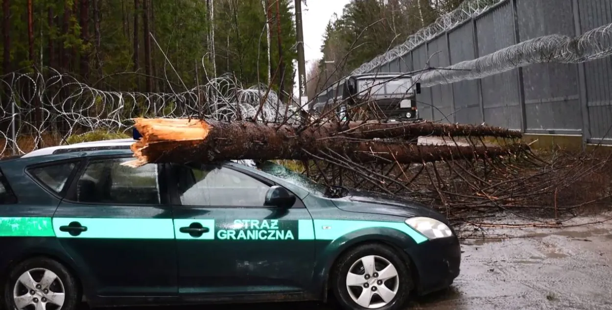 Дерево упало на машину пограничников
