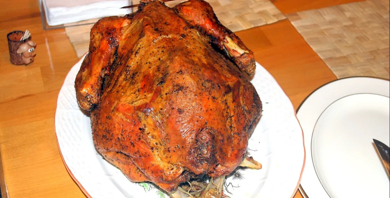 Індычка, ілюстрацыйнае фота
