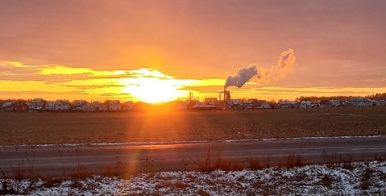 Зима на юге Беларуси
