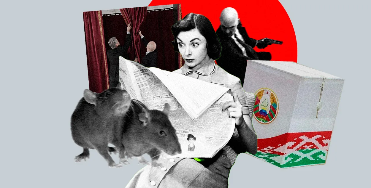 Выбары ў Беларусі

