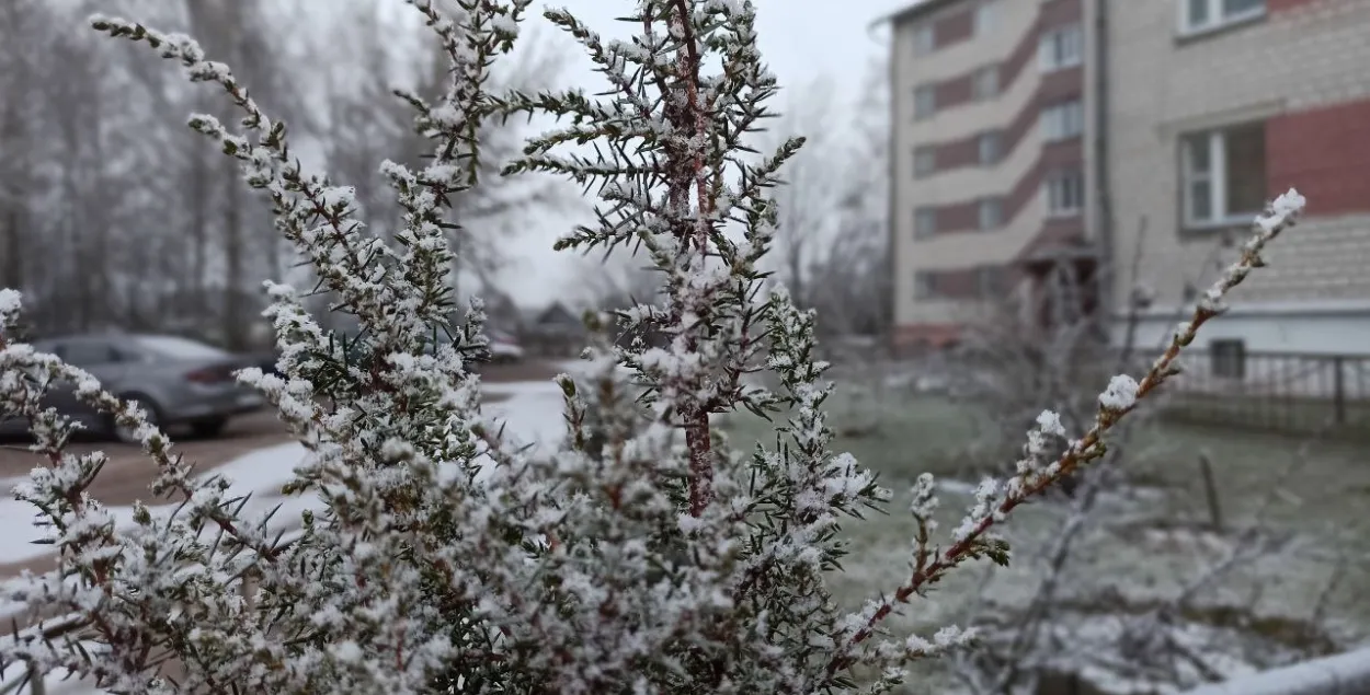 В январе в Беларуси
