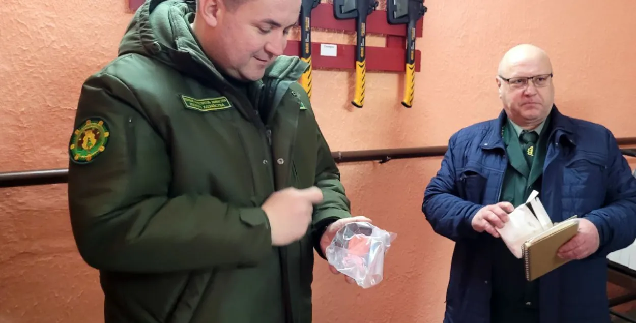 У первого заместителя министра лесного хозяйства было много интересных находок
