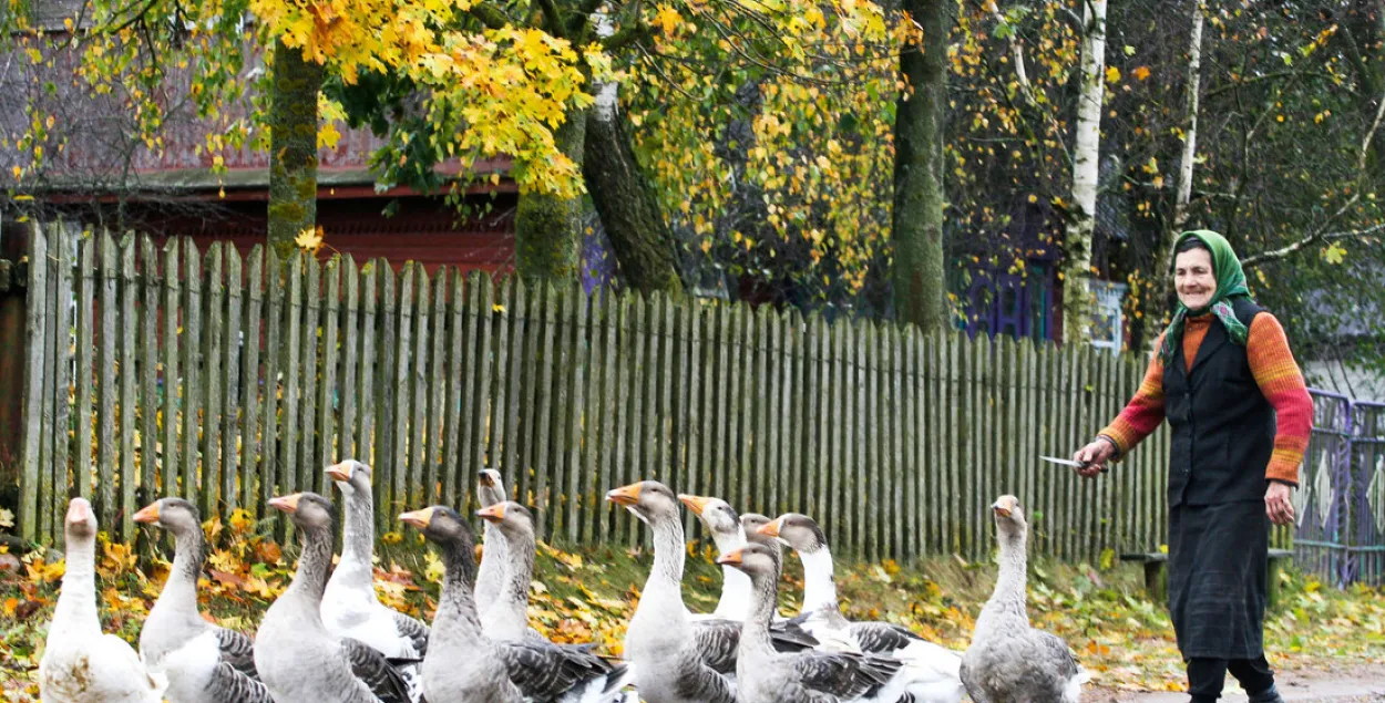 У Беларусі могуць падняць пенсійны ўзрост для жанчын
