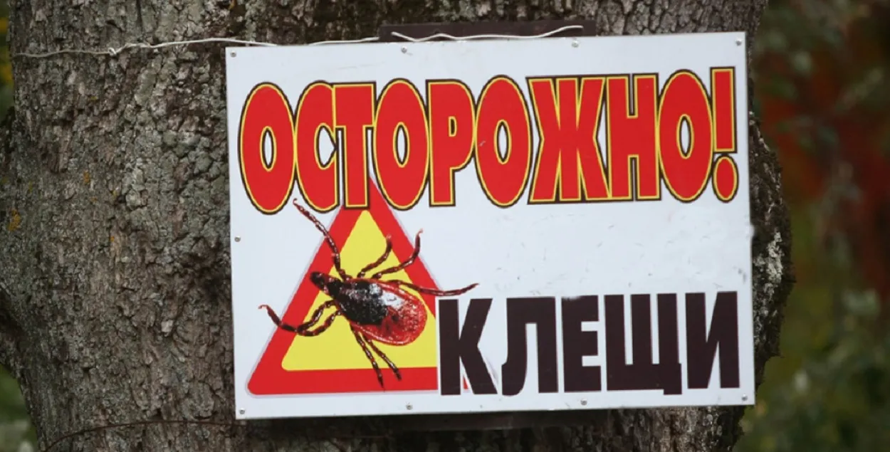 Существует риск нападения клещей как на человека, так и на животных
