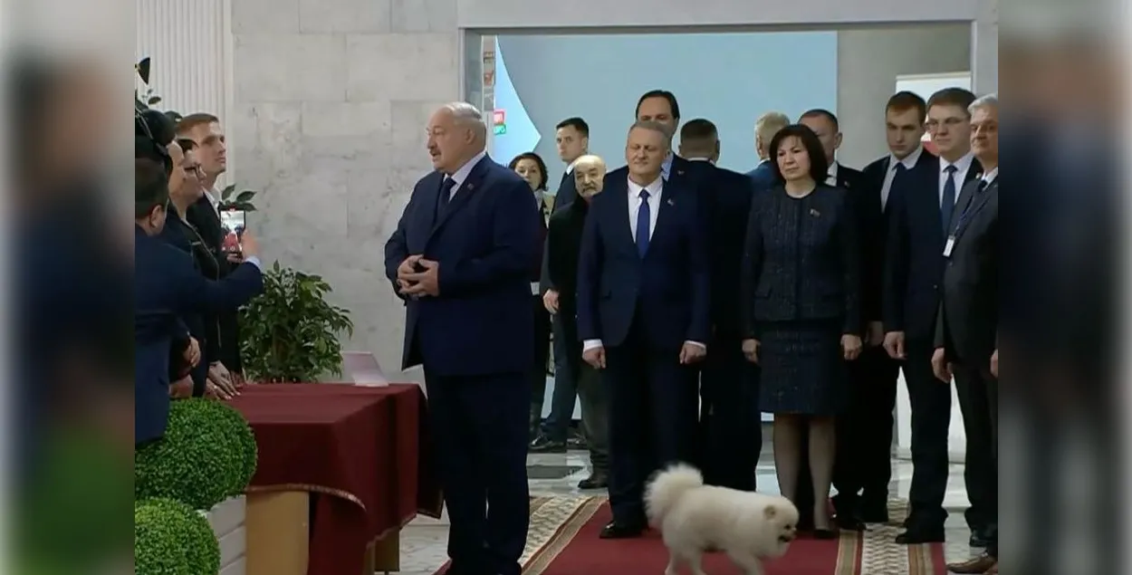 Александр Лукашенко со шпицем