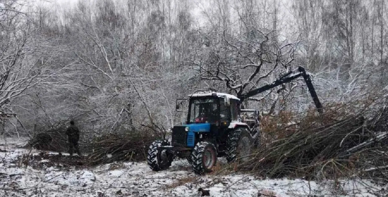 Высякаюць сады
