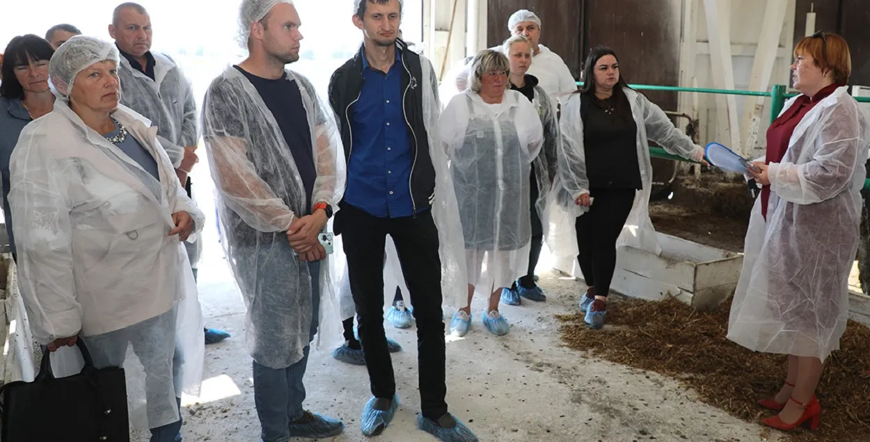 Наиболее востребованы в сельхозпредприятиях операторы машинного доения, животноводы и трактористы
