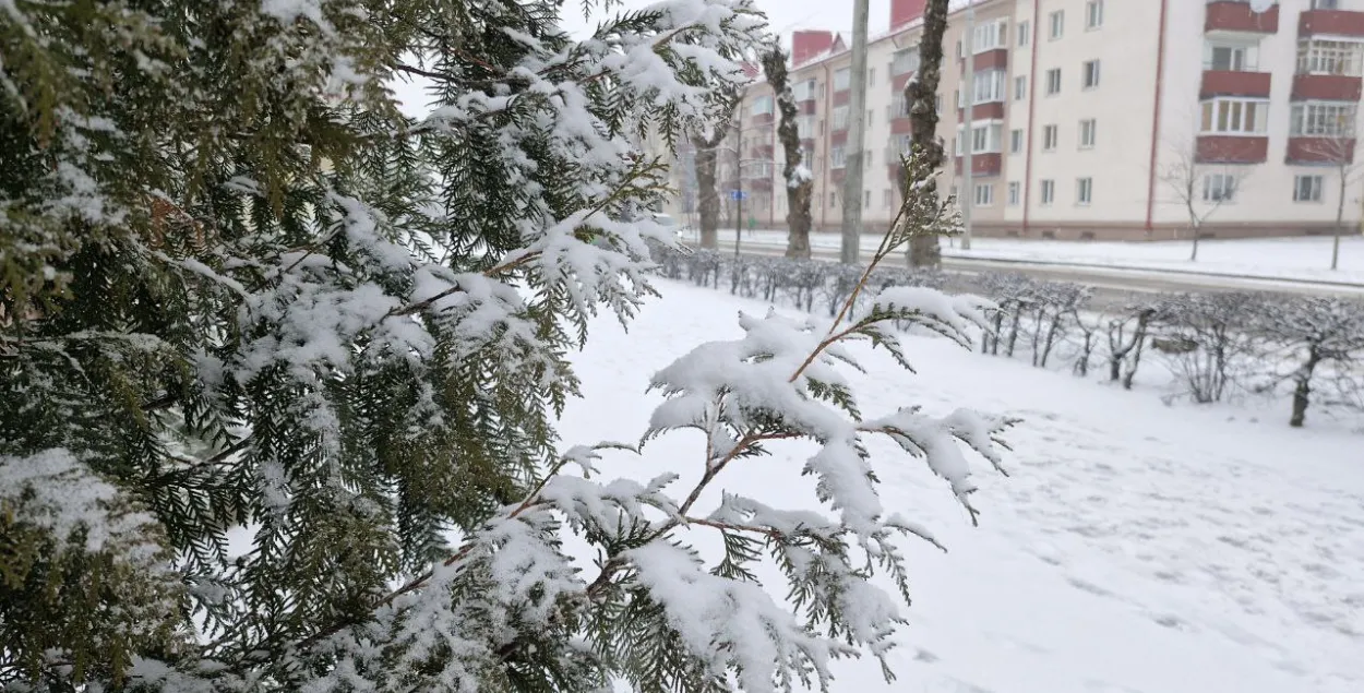 Зіма, ілюстрацыйнае фота
