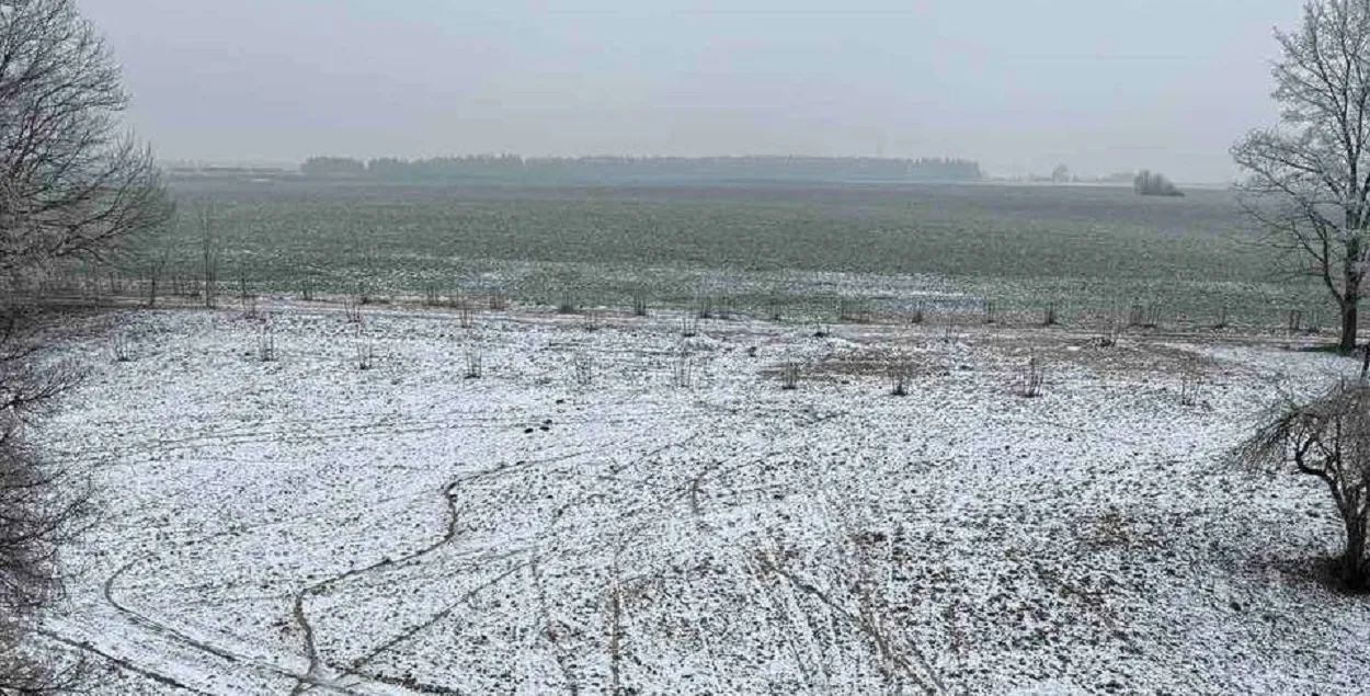 Неизвестные "наматывали круги" возле историко-культурной ценности
