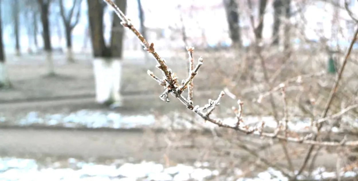 У лютым у Беларусі
