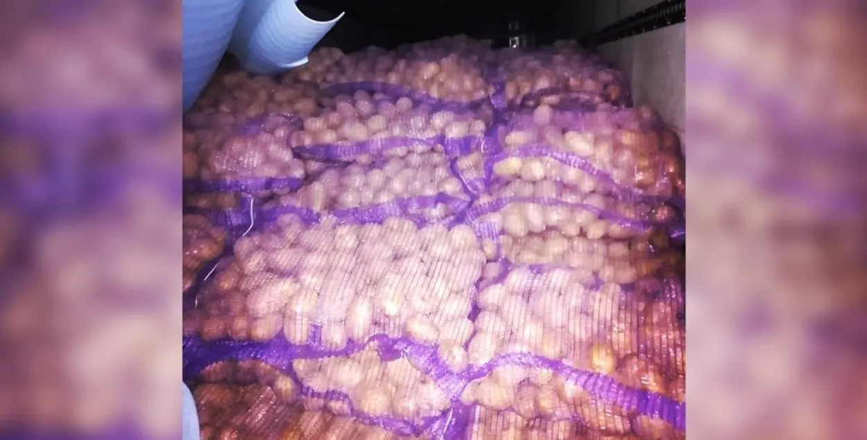 Картошка до РФ не доехала
