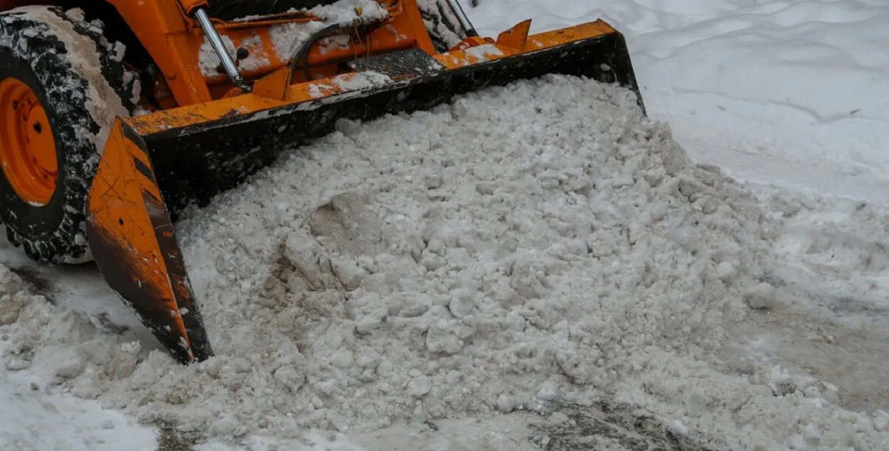 Этой зимой снега было очень мало
