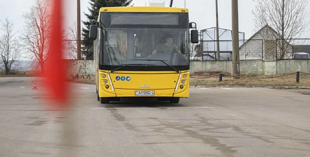 Аўтобус МАЗ
