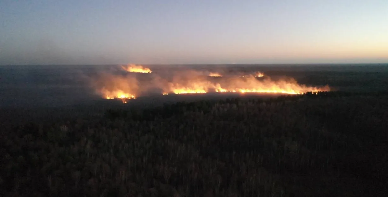 Лесной пожар
