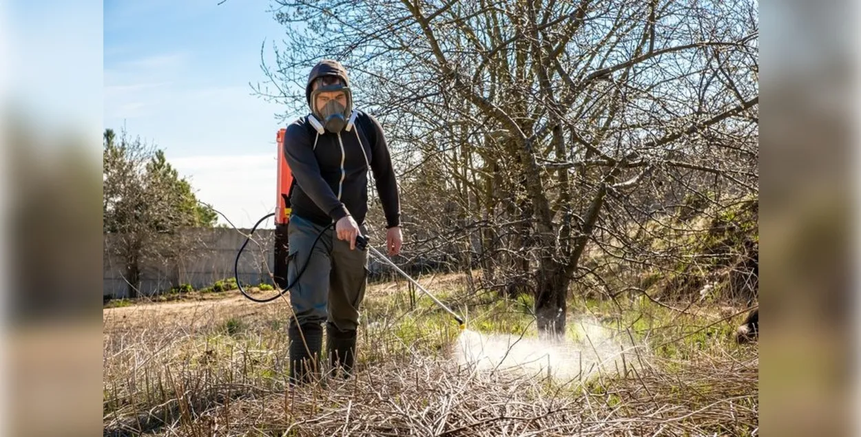 Обработка участка от клещей