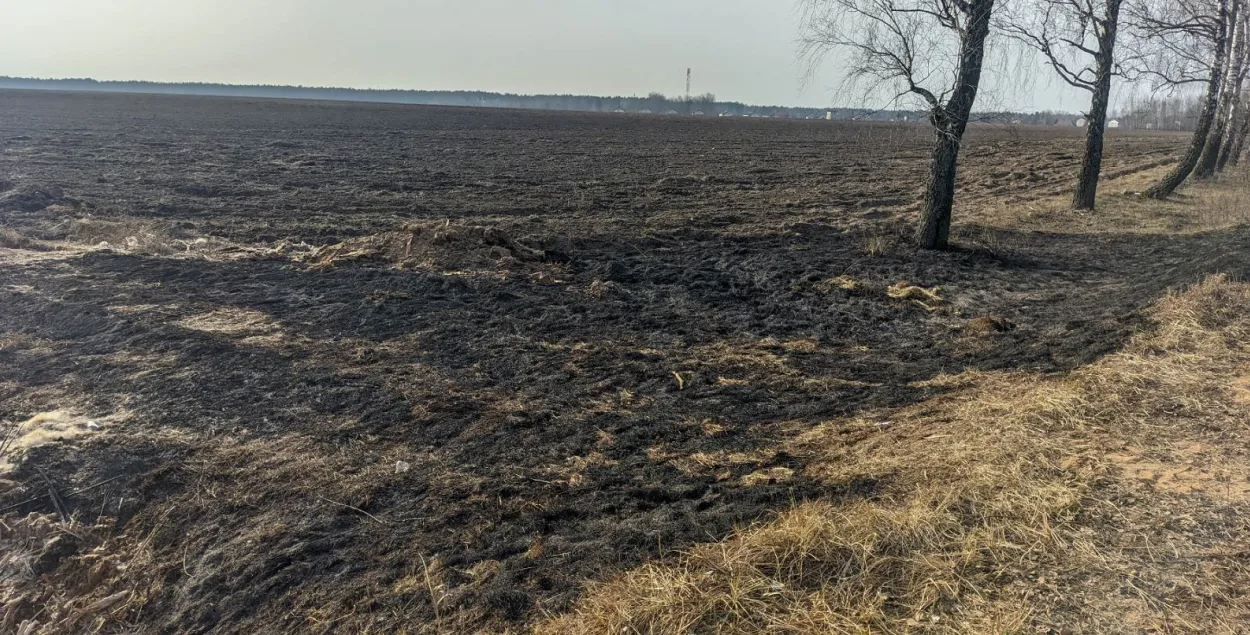 На месте происшествия
