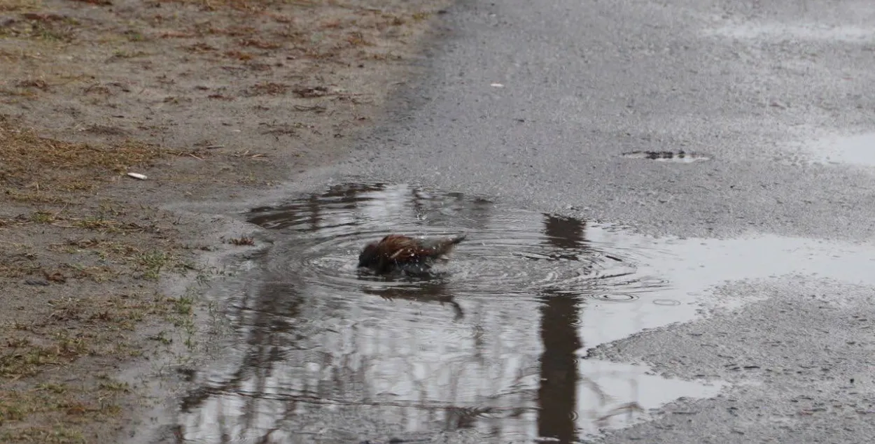 Сакавік у Беларусі
