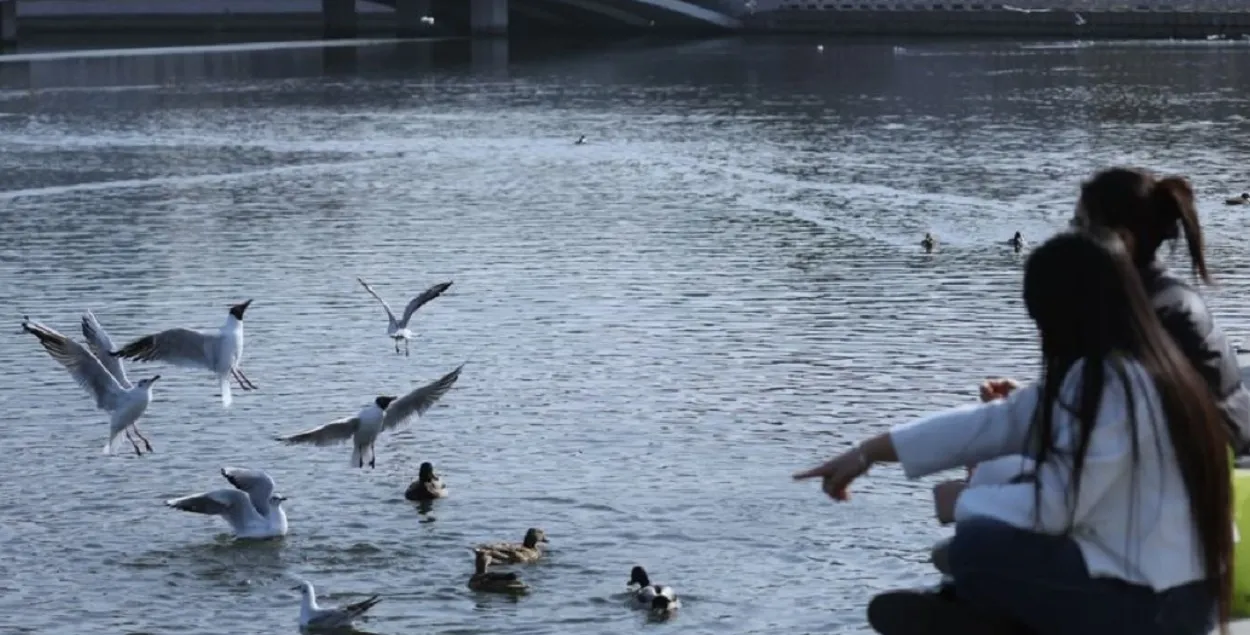 Вясна ў Беларусі
