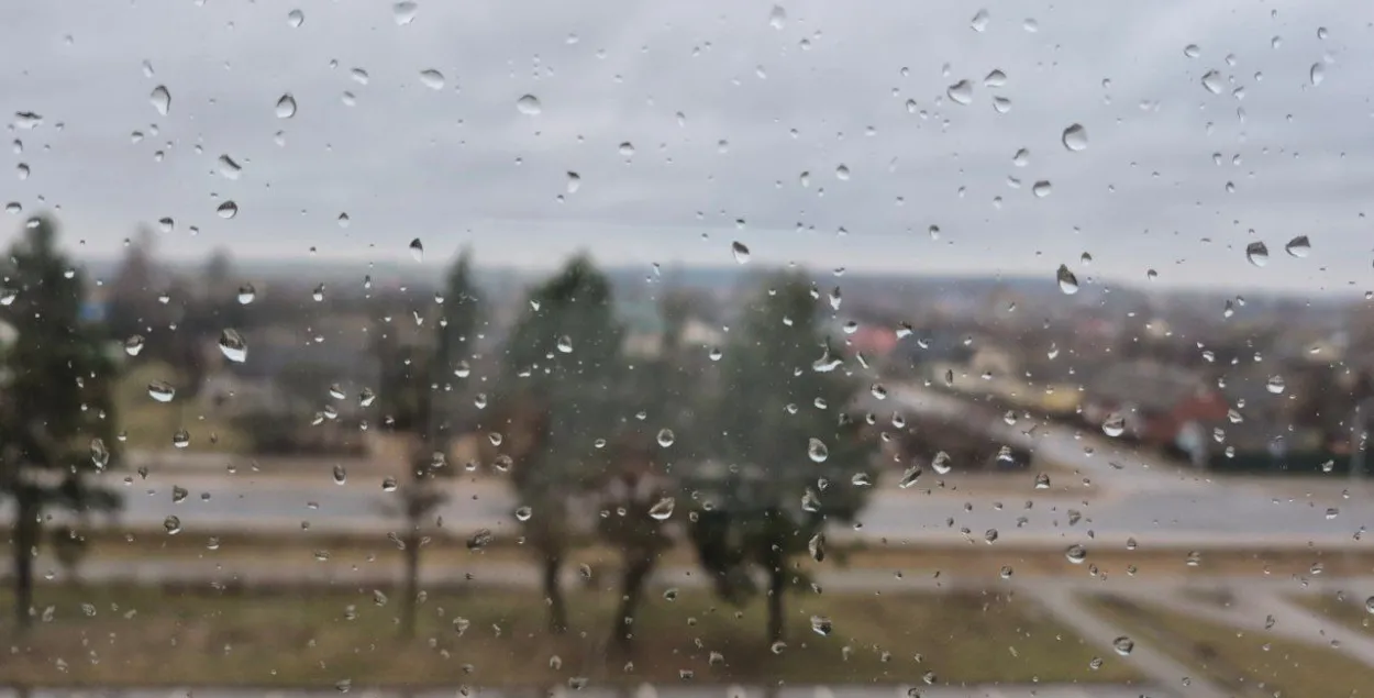 У Беларусі амаль штодня прагназуюцца дажджы
