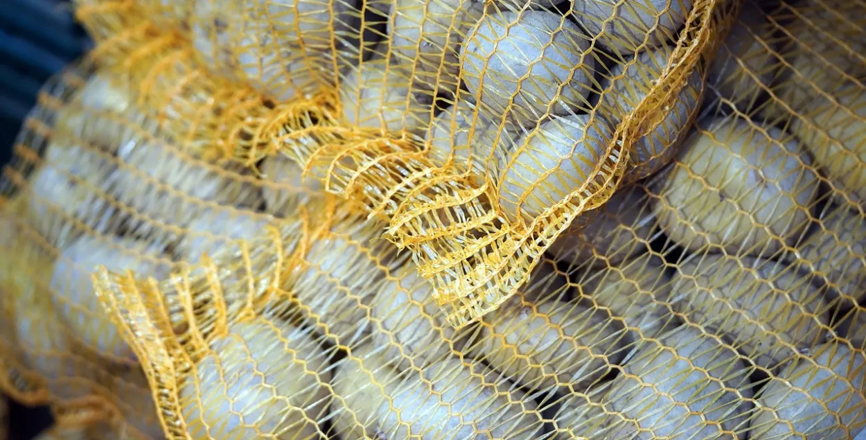 Картофель, иллюстративное фото
