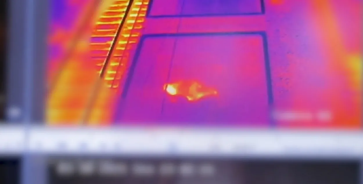 Амерыканец прыехаў у грузавым вагоне
