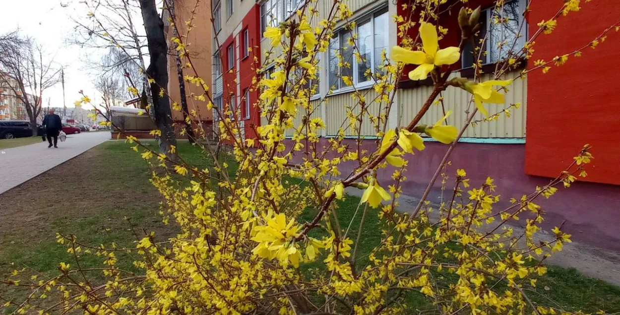 Вясна ў Беларусі
