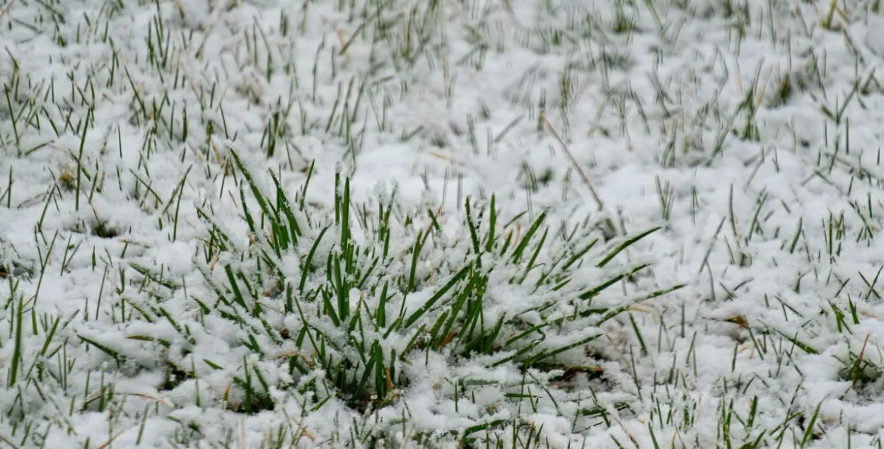 Сярэдзіна вясны ў Беларусі
