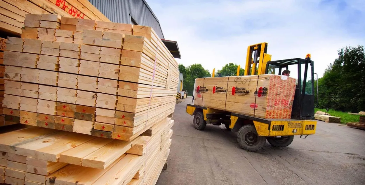 Драўніна, ілюстрацыйнае фота
