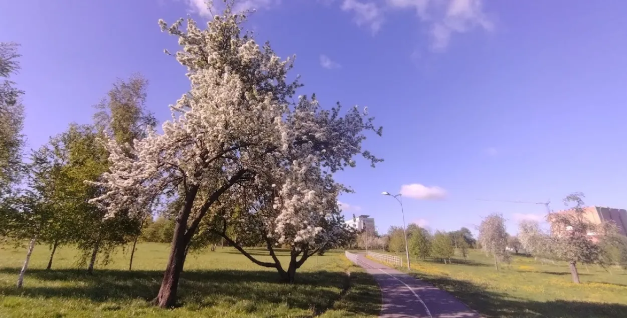 Весна в Минске
