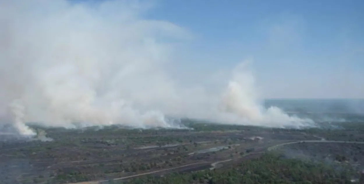 Лесной пожар
