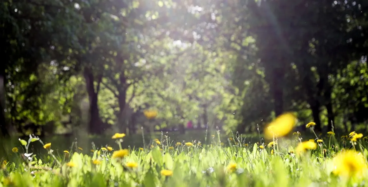 Вясна ў Беларусі
