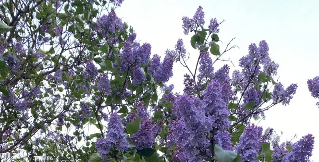 Весна, иллюстративное фото
