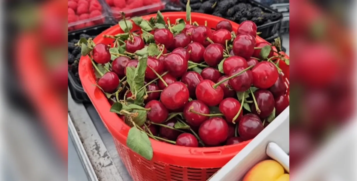 Черешня на Комаровке