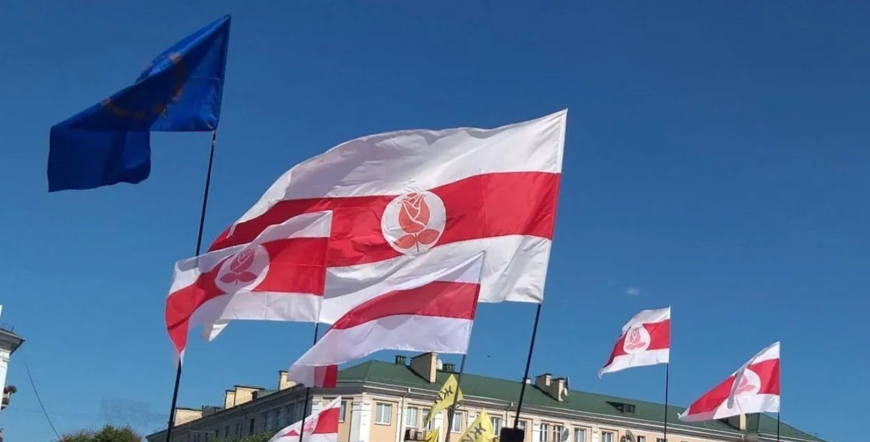 Партийные флаги БСДП (Грамада), иллюстративное фото
