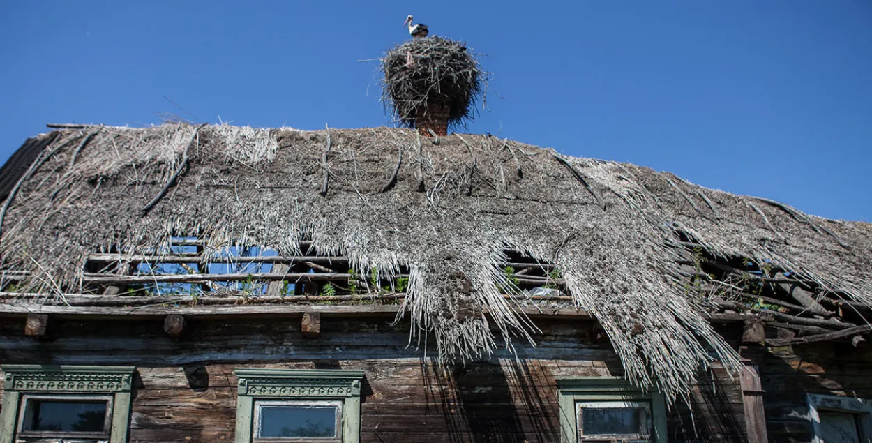 Пустующий дом в Кудричах, Пинский район

