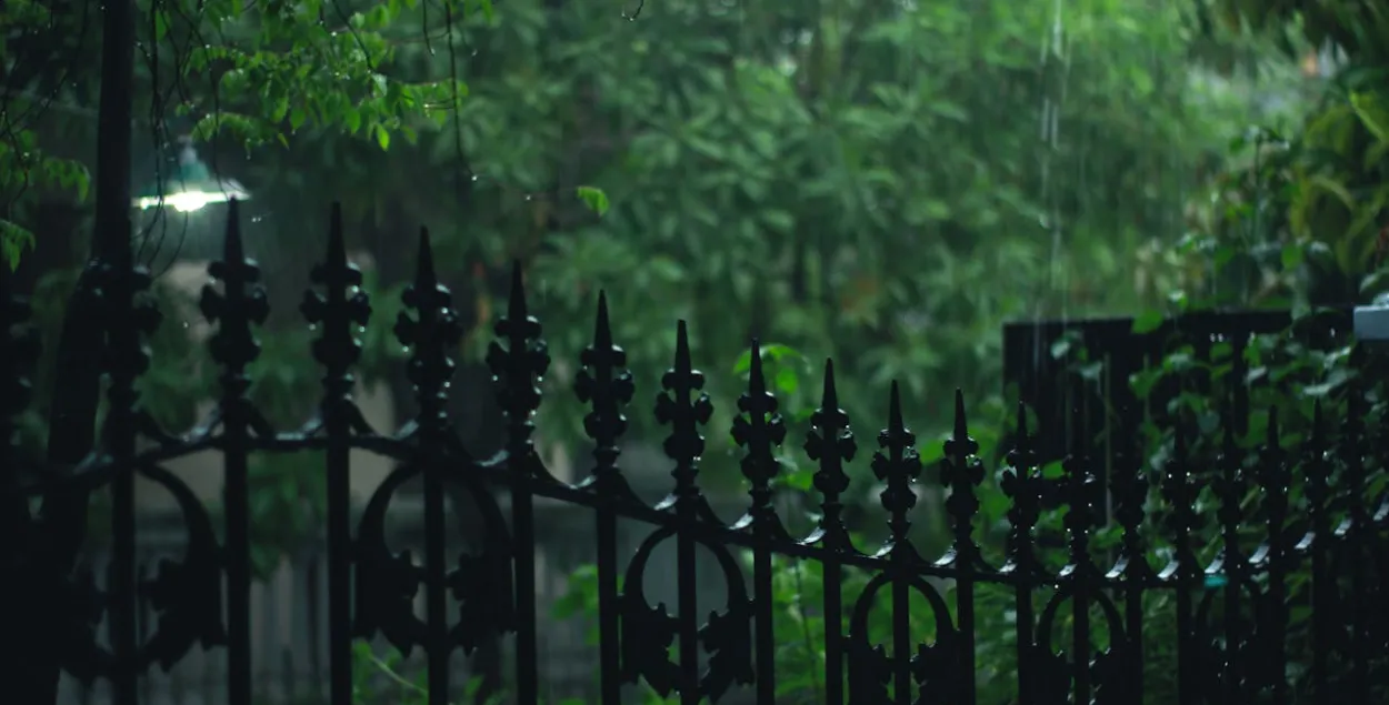 Дождь, иллюстративное фото
