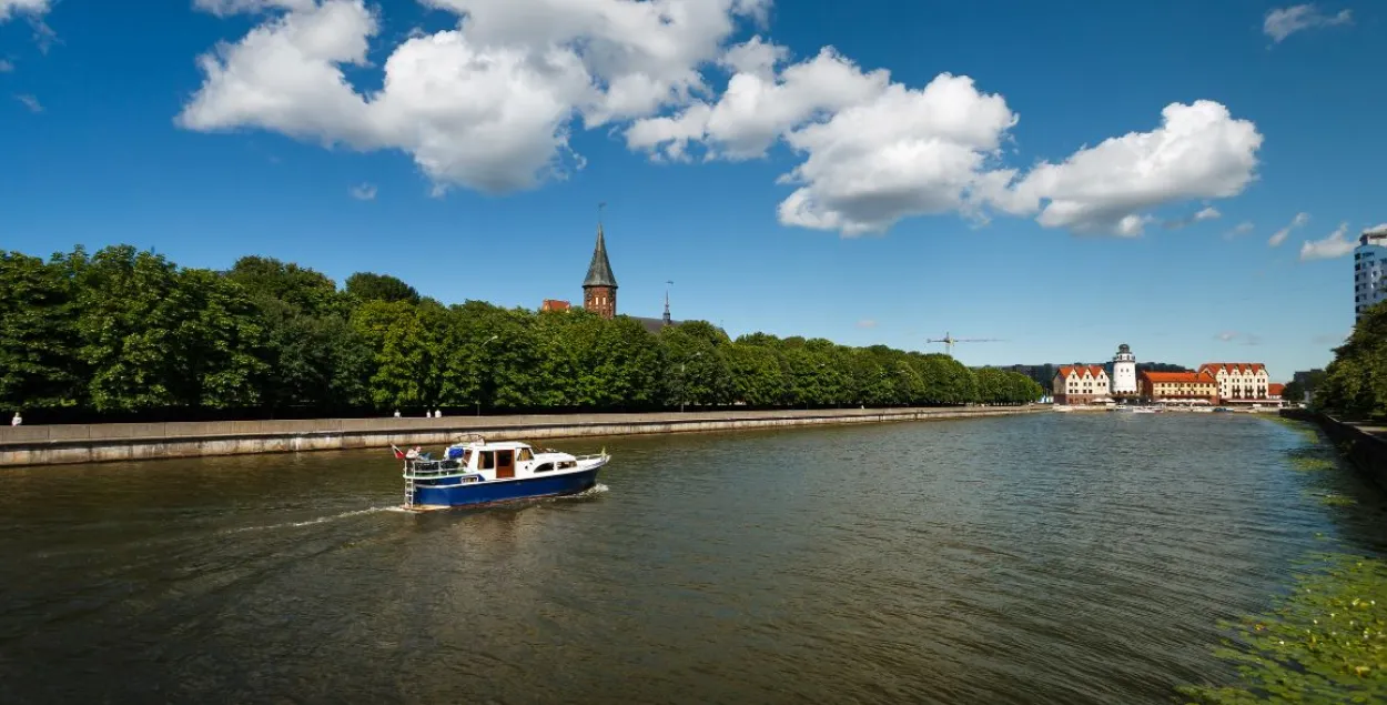 Калининград / Canva
