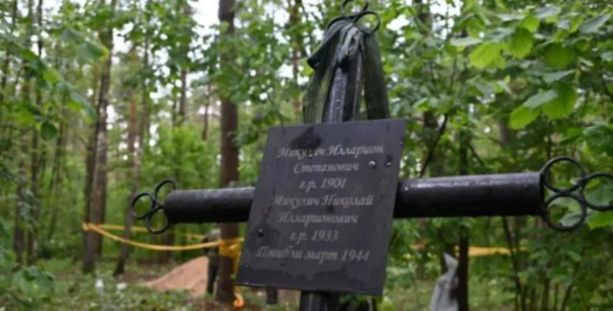 Могила в лесу возле деревни Стяг
