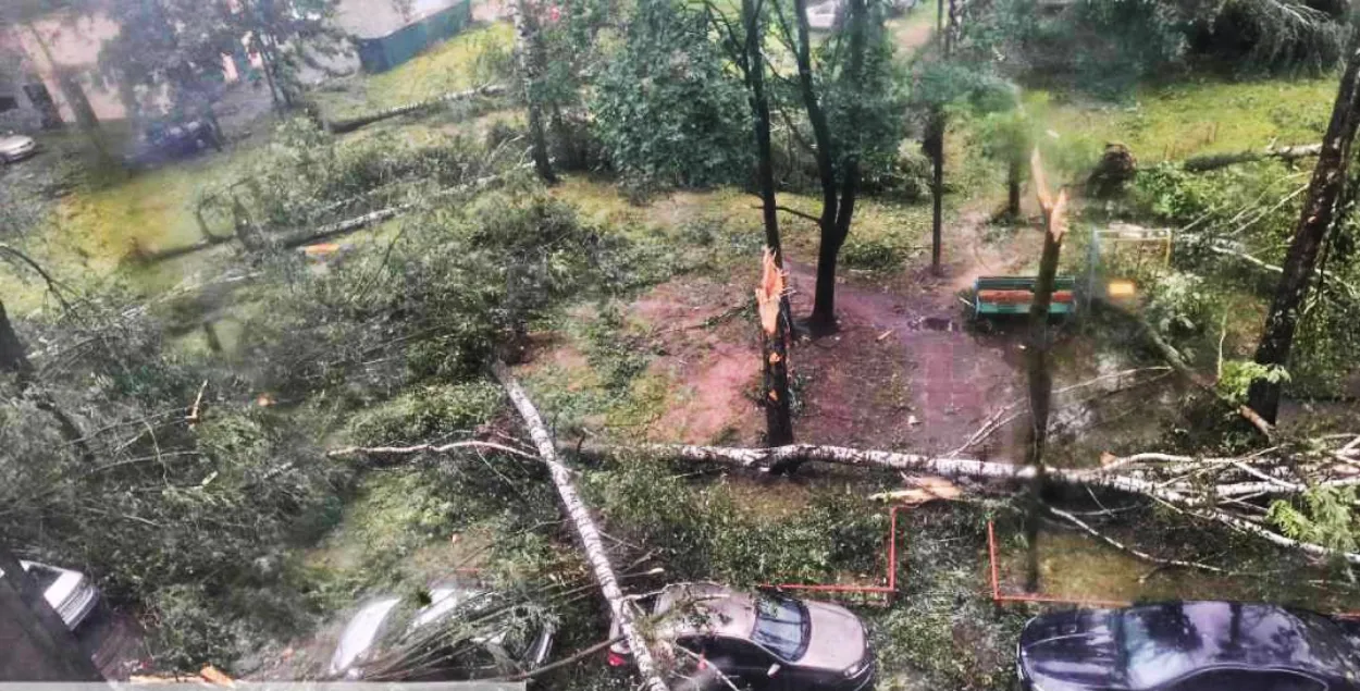 Наступствы ўрагана ў Магілёве
