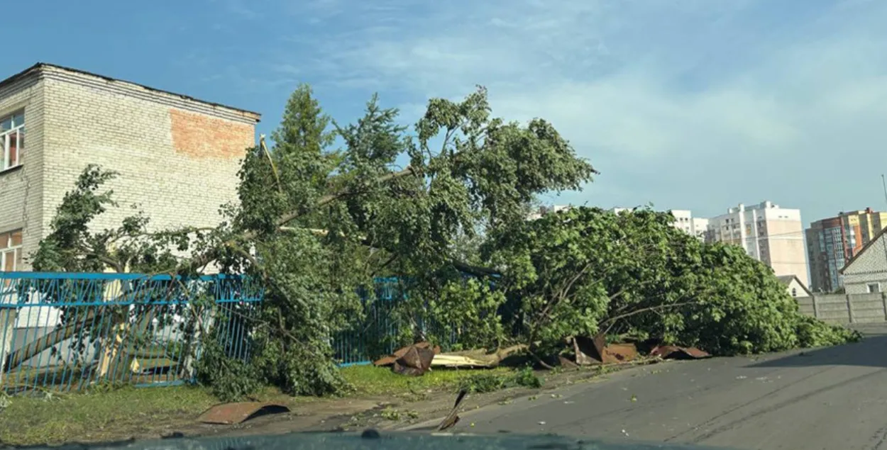 Наступствы ўрагана ў Магілёве

