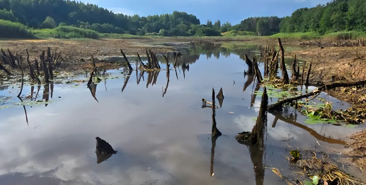 Озеро Кострицкое в Лепельском районе после размытия дамбы

