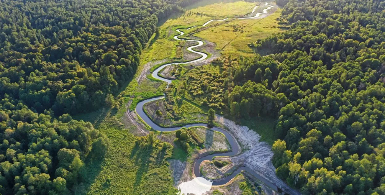 Белавежская пушча

