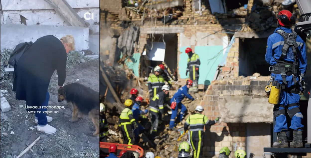 Гаспадар сабакі Джэсікі дзяжурыў на стаянцы ў ноч абстрэлу. Ён загінуў, а сабака дагэтуль чакае яго на месцы трагедыі
