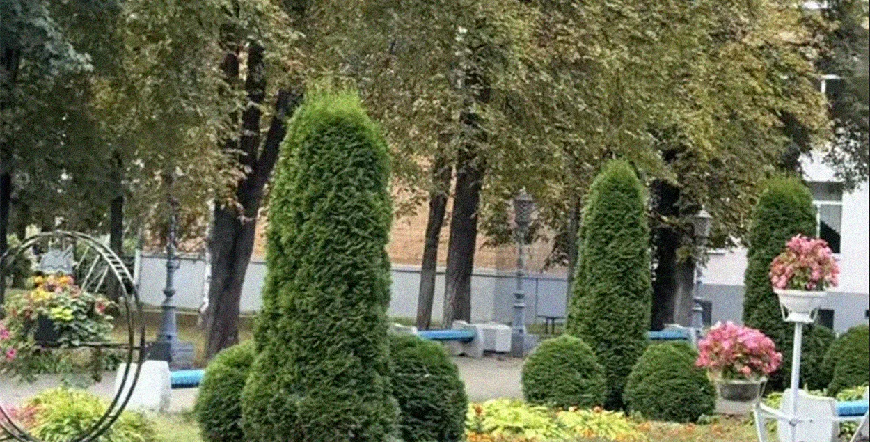 Как столинский колледж стал звездой тиктока

&nbsp;
