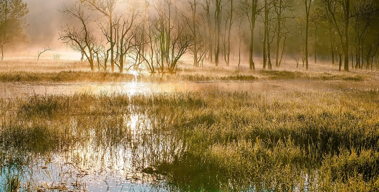 Это смягчит климат региона
