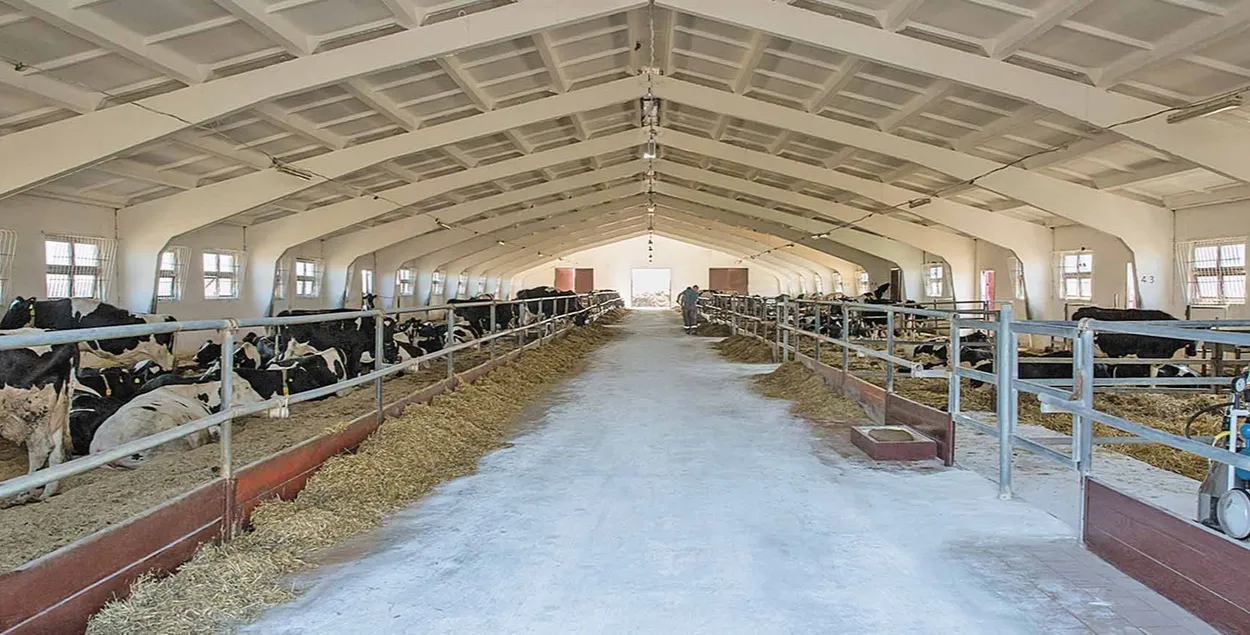 Такими данными с Еврорадио поделился BELPOL
