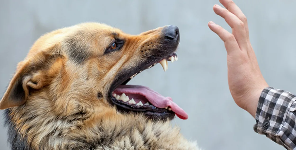 Мясцовыя СМІ былі абавязаныя пра гэта напісаць, але чамусьці гэтага не зрабілі
